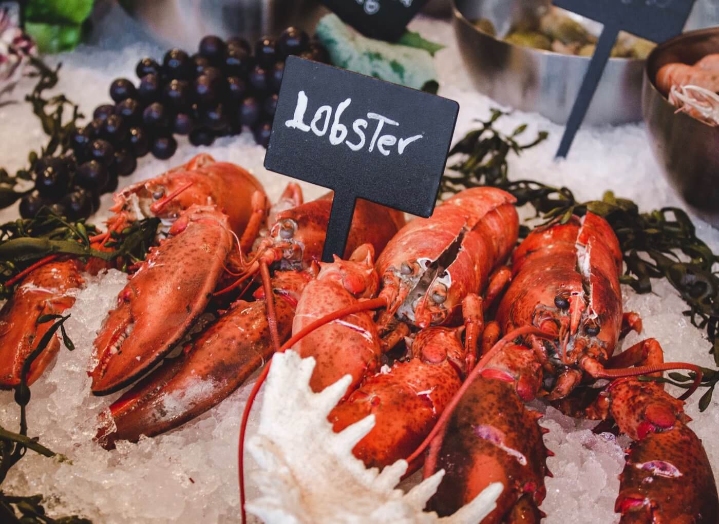 Lobster | The Mustcard