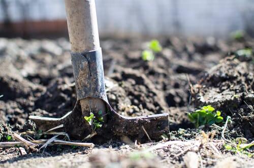 PREPARING YOUR WINTER GARDEN