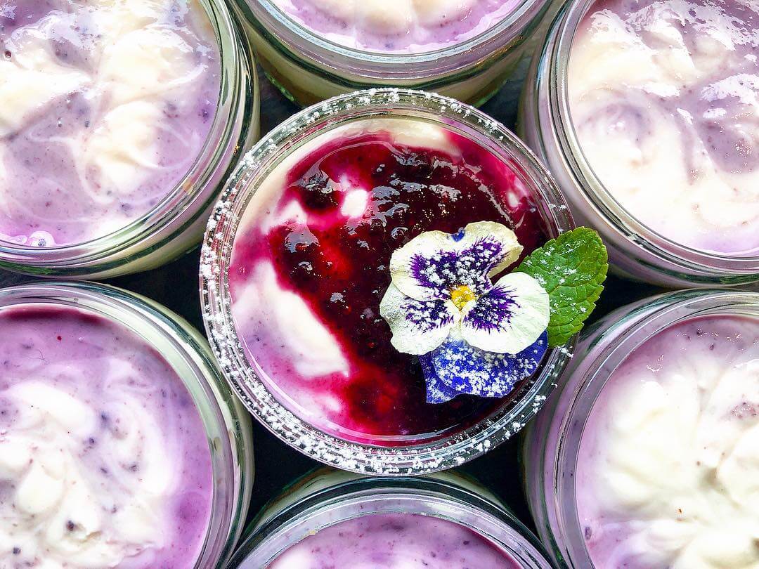 Purple Yoghurt | The Mustcard